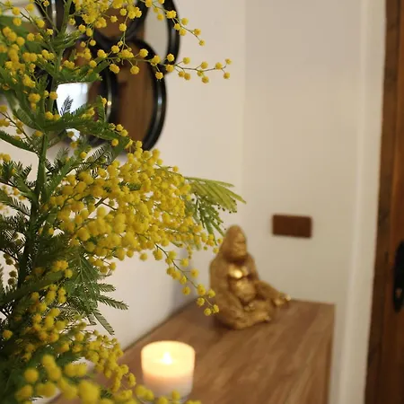 Turistico Lavid Holiday home